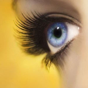 Wimpern